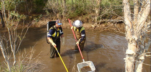 Environment/water testing